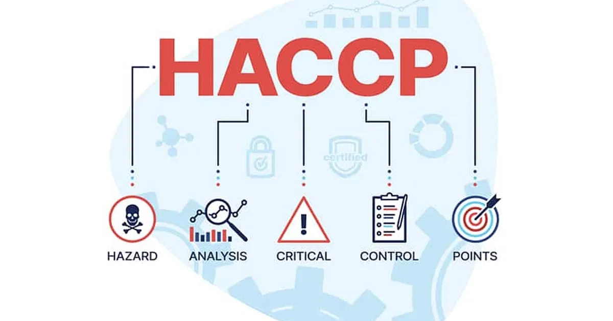 كل ما تريد معرفته عن نظام HACCP لضمان سلامة الغذاء