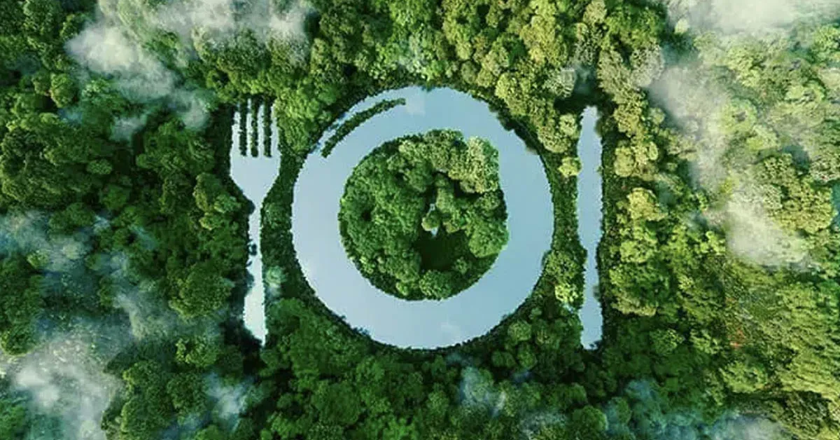 كل ما تحتاج ان تعرفه عن الاستدامة البيئية في المطاعم والفنادق