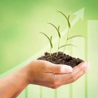 دورة تسويق المنتجات الزراعية عبر الانترنت