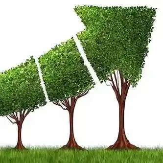 برنامج إدارة استدامة الأعمال