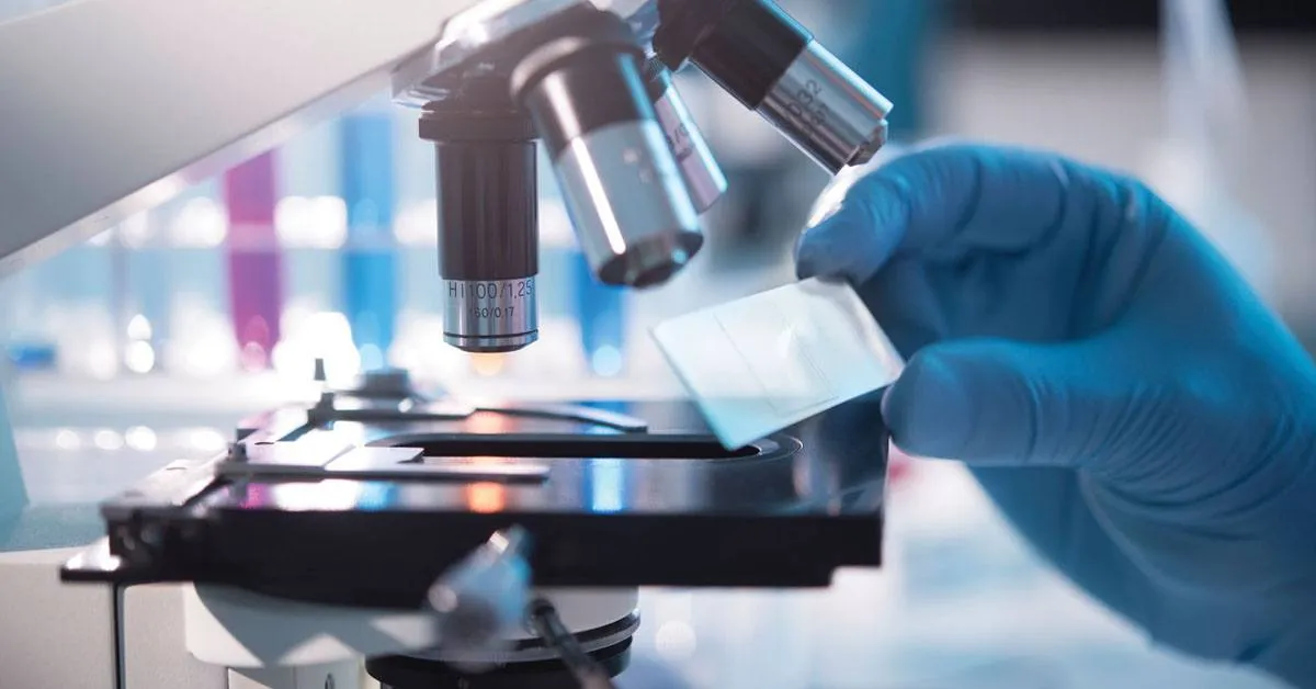 Total Quality Management (TQM) in Medical Laboratories Training Diploma