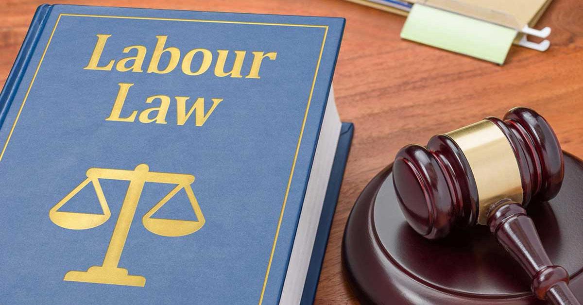 Social Insurance & Egyptian Labor Law 2025 Course