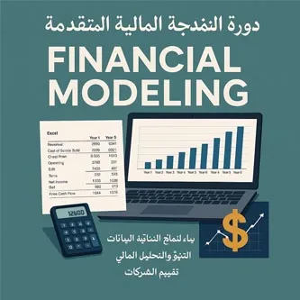 دورة النمذجة المالية - Financial Modeling