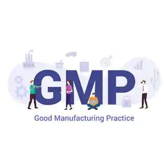 دبلومة ممارسات التصنيع الجيد GMP
