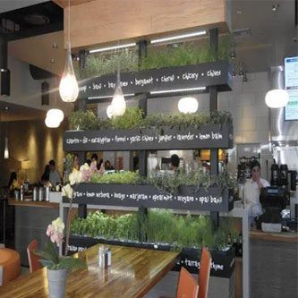 دبلومة الاستدامة البيئية في المطاعم - ادارة المطاعم الخضراء