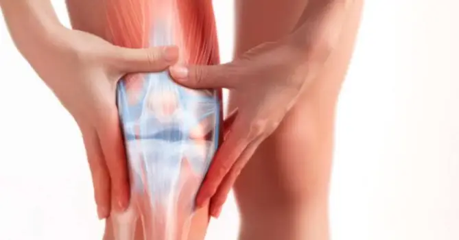 ACL Injury Rehabilitation Training Course