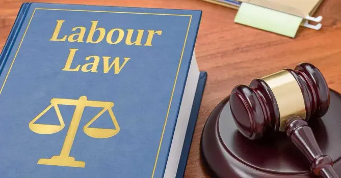 Social Insurance & Egyptian Labor Law 2025 Course