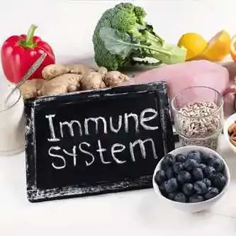 دورة التغذية ودعم الجهاز المناعي