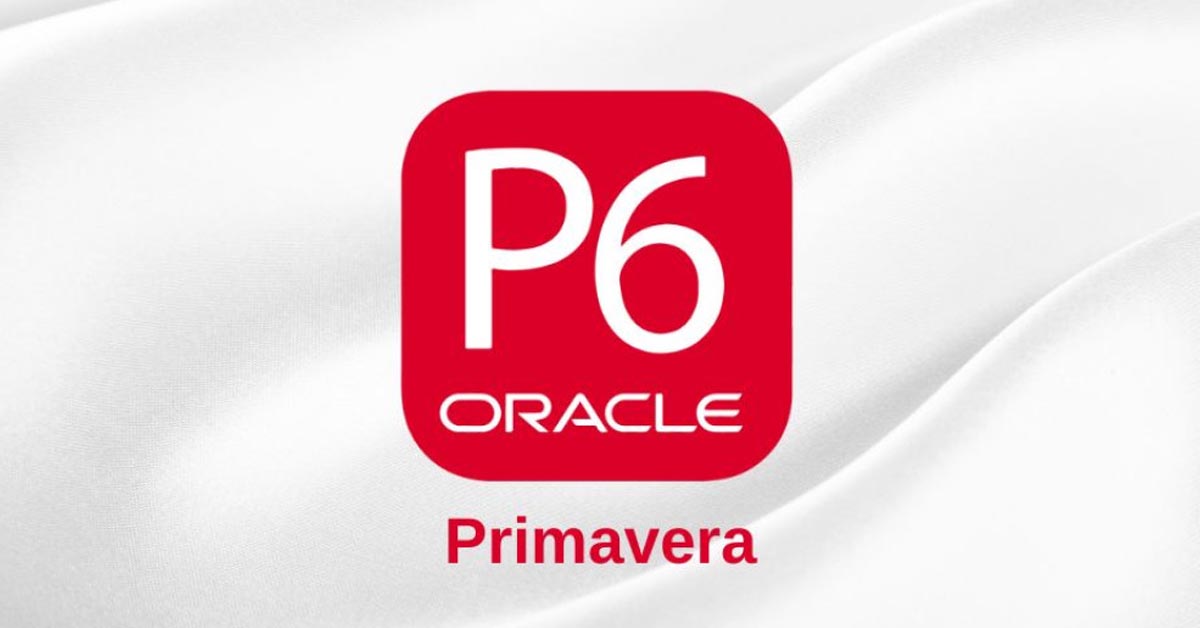 Primavera for Project & Risk Management Training Course