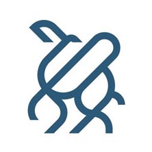 Camel Step - شركة خطوة جمل للتجارة