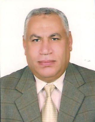 مهندس استشاري ثروت عبد الوهاب احمد